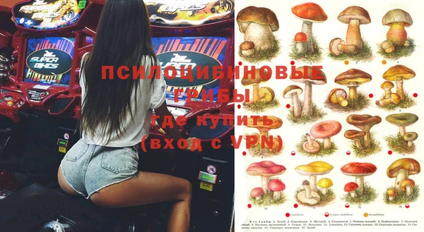 не бодяженный Арсеньев
